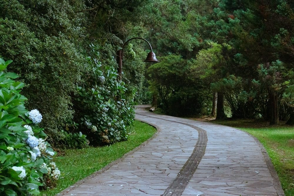 Alameda arborizada em Gramado